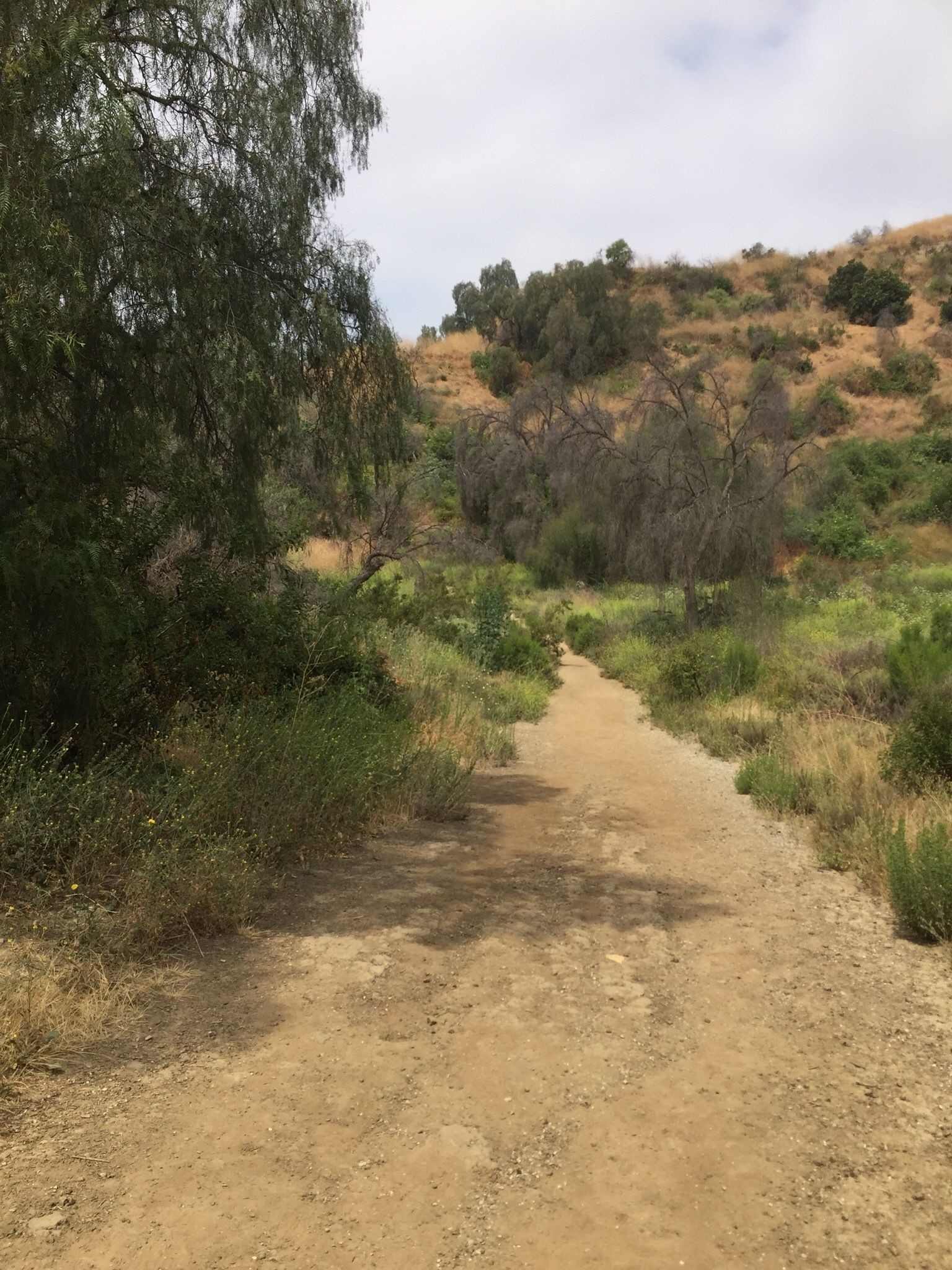 alltrails arroyo pescadero trail 폴 산토스