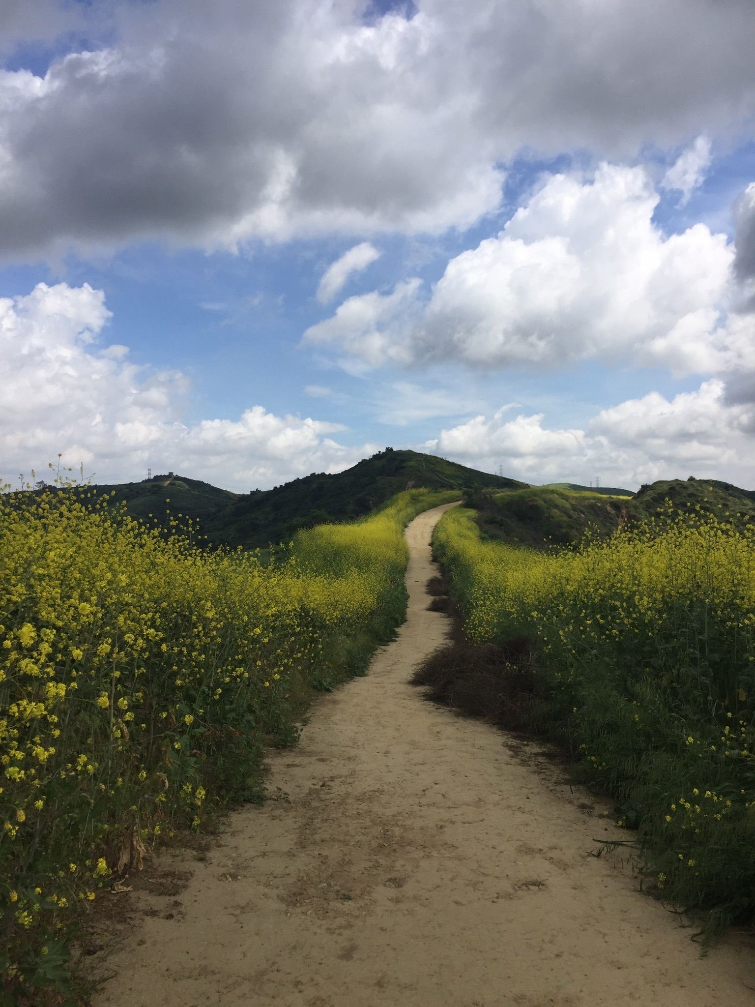 alltrails sycamore canyon trail luz olivares