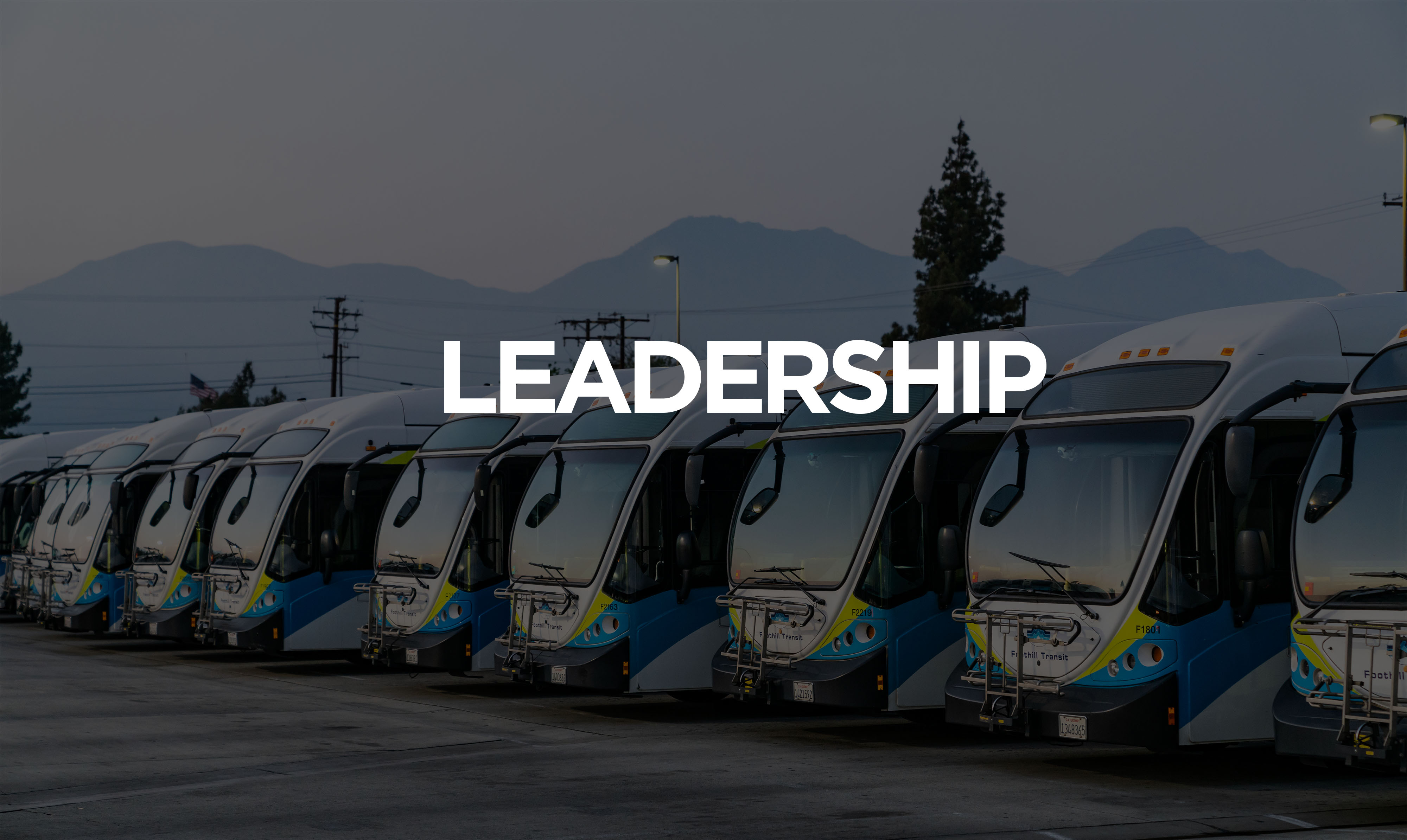 10 autobuses estacionados en línea mostrados desde el frente con liderazgo