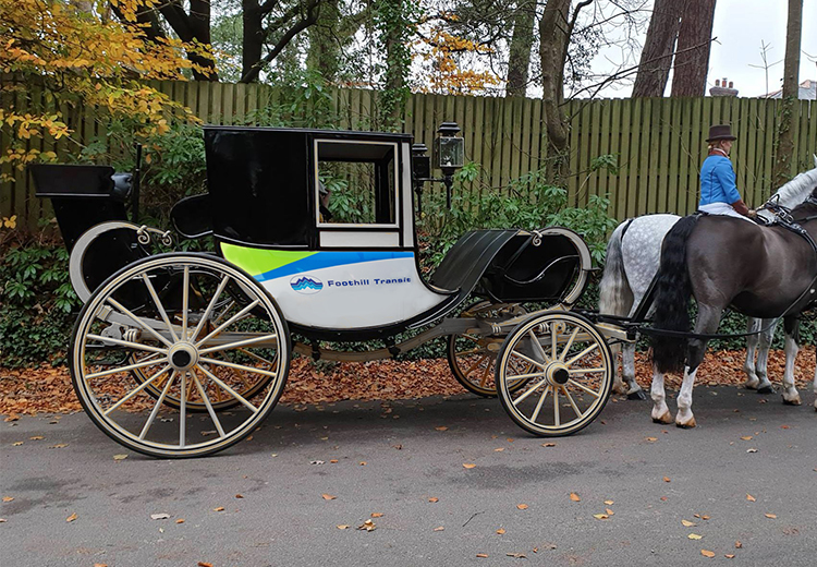 a horse drawn carriage with Foothill Transit livery
