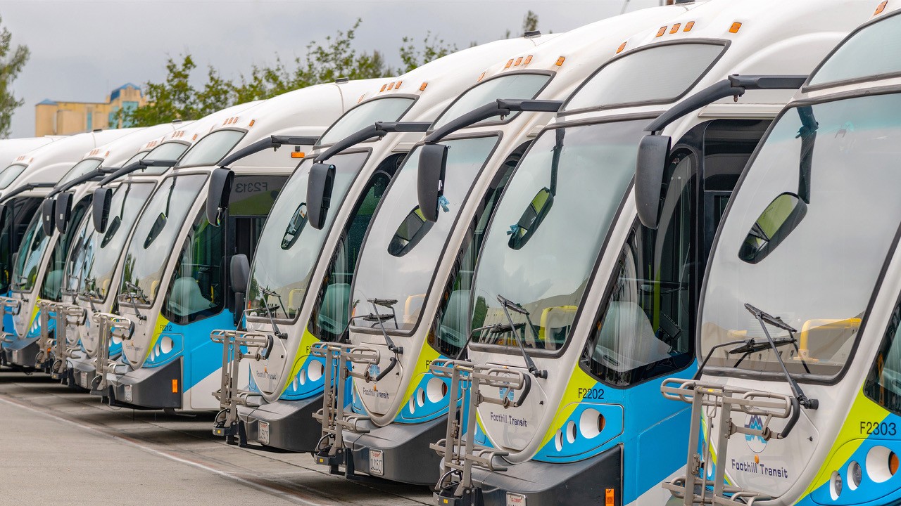 A line of Foothill Transit buses