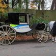 a horse drawn carriage with Foothill Transit livery