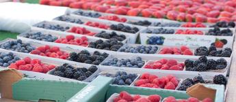 farmers market berries