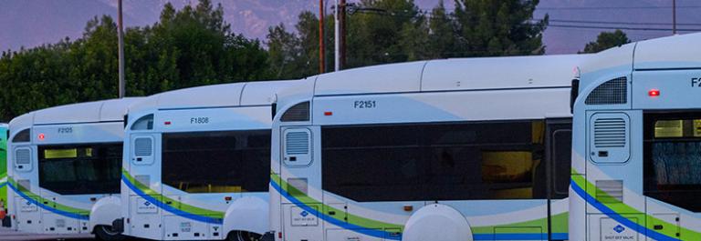 Buses at sunset
