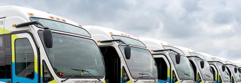 a line of Foothill Transit buses
