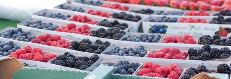 farmers market berries